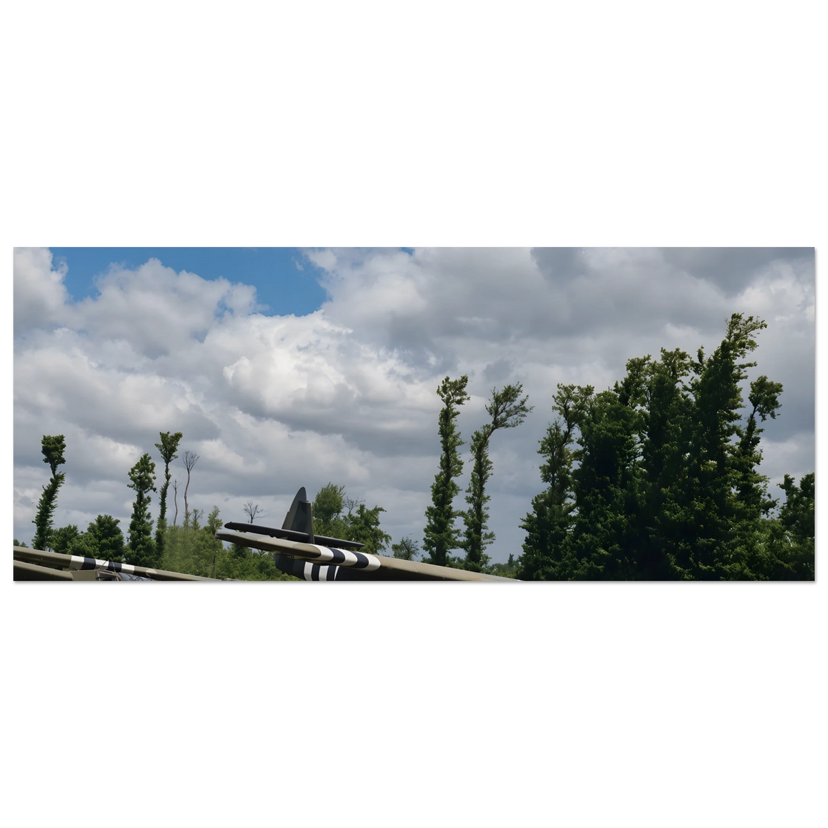 292d9129-b46b-4e81-991c-afee76cb40d9