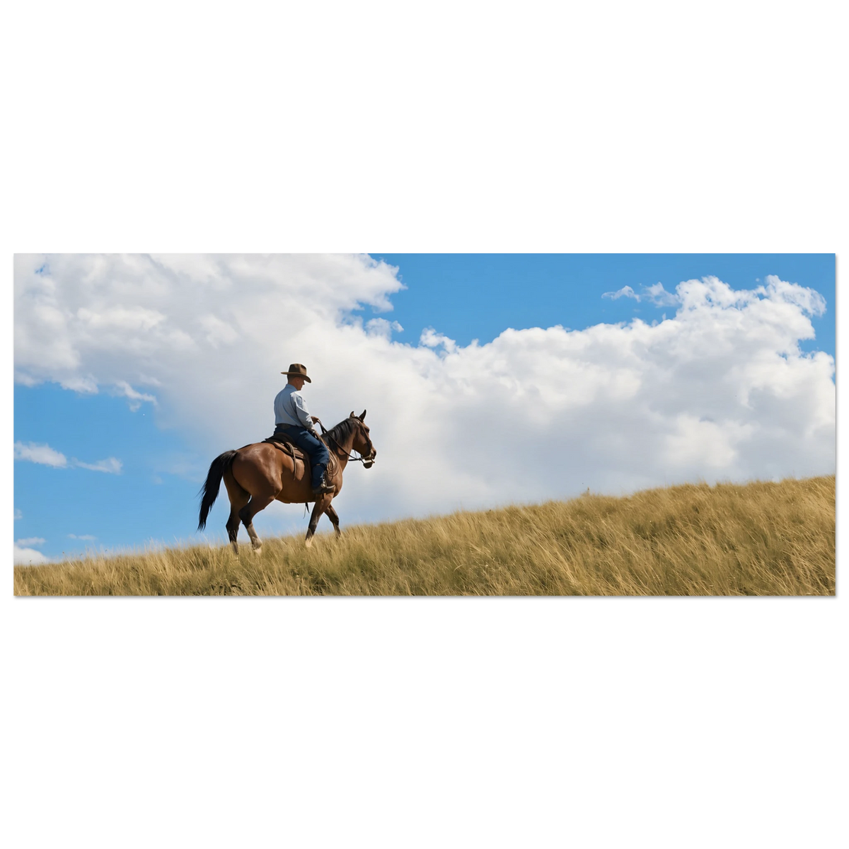 c639e3df-c460-45bf-9f51-2e8ac5eedf26